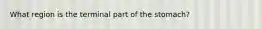 What region is the terminal part of the stomach?