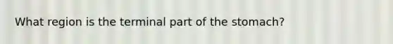 What region is the terminal part of the stomach?