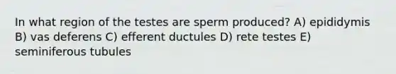 In what region of the testes are sperm produced? A) epididymis B) vas deferens C) efferent ductules D) rete testes E) seminiferous tubules