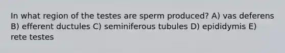 In what region of the testes are sperm produced? A) vas deferens B) efferent ductules C) seminiferous tubules D) epididymis E) rete testes