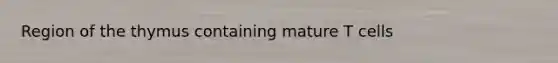 Region of the thymus containing mature T cells