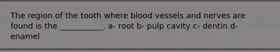 The region of the tooth where blood vessels and nerves are found is the ___________. a- root b- pulp cavity c- dentin d- enamel