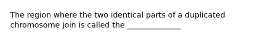 The region where the two identical parts of a duplicated chromosome join is called the ______________