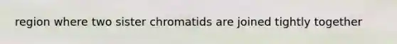 region where two sister chromatids are joined tightly together