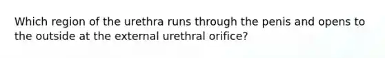 Which region of the urethra runs through the penis and opens to the outside at the external urethral orifice?