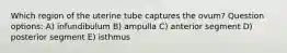 Which region of the uterine tube captures the ovum? Question options: A) infundibulum B) ampulla C) anterior segment D) posterior segment E) isthmus