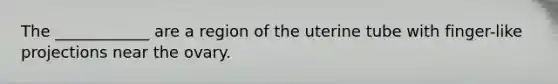 The ____________ are a region of the uterine tube with finger-like projections near the ovary.