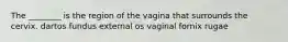 The ________ is the region of the vagina that surrounds the cervix. dartos fundus external os vaginal fornix rugae