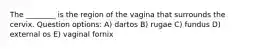 The ________ is the region of the vagina that surrounds the cervix. Question options: A) dartos B) rugae C) fundus D) external os E) vaginal fornix