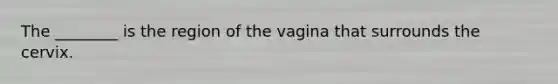 The ________ is the region of the vagina that surrounds the cervix.