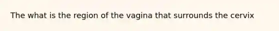 The what is the region of the vagina that surrounds the cervix