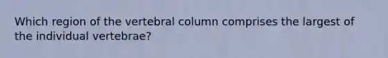 Which region of the vertebral column comprises the largest of the individual vertebrae?