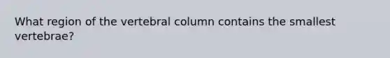 What region of the vertebral column contains the smallest vertebrae?