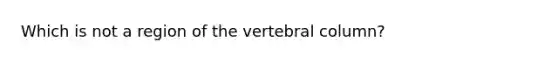 Which is not a region of the vertebral column?