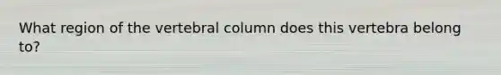 What region of the vertebral column does this vertebra belong to?