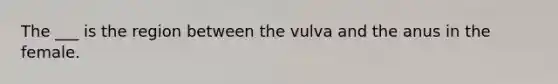 The ___ is the region between the vulva and the anus in the female.