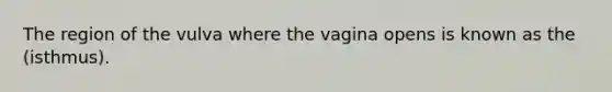 The region of the vulva where the vagina opens is known as the (isthmus).