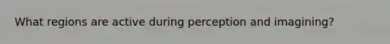 What regions are active during perception and imagining?