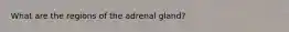 What are the regions of the adrenal gland?