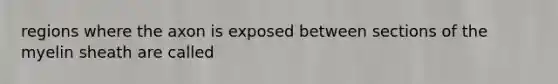 regions where the axon is exposed between sections of the myelin sheath are called