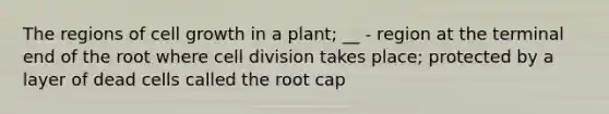 The regions of cell growth in a plant; __ - region at the terminal end of the root where cell division takes place; protected by a layer of dead cells called the root cap