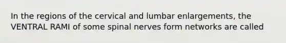 In the regions of the cervical and lumbar enlargements, the VENTRAL RAMI of some <a href='https://www.questionai.com/knowledge/kyBL1dWgAx-spinal-nerves' class='anchor-knowledge'>spinal nerves</a> form networks are called