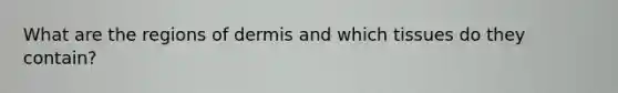 What are the regions of dermis and which tissues do they contain?