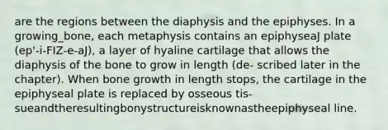 are the regions between the diaphysis and the epiphyses. In a growing_bone, each metaphysis contains an epiphyseaJ plate (ep'-i-FIZ-e-aJ), a layer of hyaline cartilage that allows the diaphysis of the bone to grow in length (de- scribed later in the chapter). When <a href='https://www.questionai.com/knowledge/ki4t7AlC39-bone-growth' class='anchor-knowledge'>bone growth</a> in length stops, the cartilage in the epiphyseal plate is replaced by osseous tis- sueandtheresultingbonystructureisknownastheepiphyseal line.