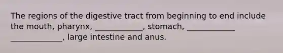 The regions of the digestive tract from beginning to end include <a href='https://www.questionai.com/knowledge/krBoWYDU6j-the-mouth' class='anchor-knowledge'>the mouth</a>, pharynx, ____________, stomach, ____________ _____________, large intestine and anus.