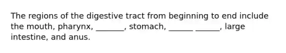 The regions of the digestive tract from beginning to end include the mouth, pharynx, _______, stomach, ______ ______, large intestine, and anus.