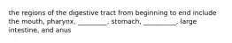 the regions of the digestive tract from beginning to end include the mouth, pharynx, _________, stomach, __________, large intestine, and anus