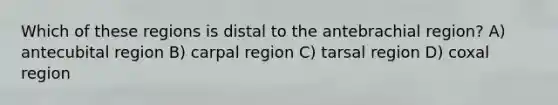 Which of these regions is distal to the antebrachial region? A) antecubital region B) carpal region C) tarsal region D) coxal region