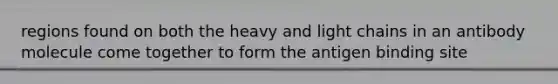 regions found on both the heavy and light chains in an antibody molecule come together to form the antigen binding site