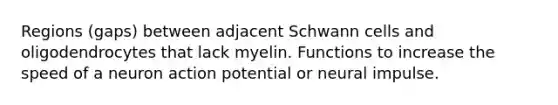 Regions (gaps) between adjacent Schwann cells and oligodendrocytes that lack myelin. Functions to increase the speed of a neuron action potential or neural impulse.