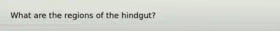 What are the regions of the hindgut?