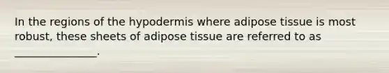 In the regions of the hypodermis where adipose tissue is most robust, these sheets of adipose tissue are referred to as _______________.