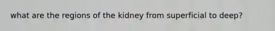 what are the regions of the kidney from superficial to deep?