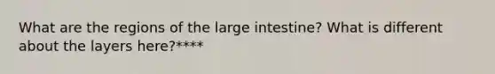 What are the regions of the large intestine? What is different about the layers here?****