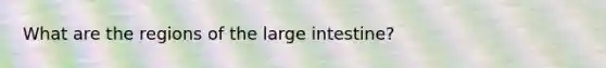 What are the regions of the large intestine?