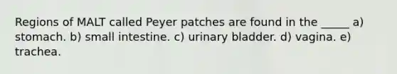 Regions of MALT called Peyer patches are found in the _____ a) stomach. b) small intestine. c) <a href='https://www.questionai.com/knowledge/kb9SdfFdD9-urinary-bladder' class='anchor-knowledge'>urinary bladder</a>. d) vagina. e) trachea.