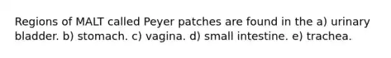 Regions of MALT called Peyer patches are found in the a) urinary bladder. b) stomach. c) vagina. d) small intestine. e) trachea.