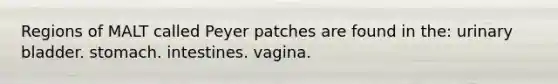 Regions of MALT called Peyer patches are found in the: urinary bladder. stomach. intestines. vagina.