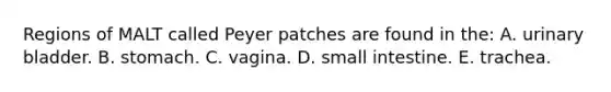 Regions of MALT called Peyer patches are found in the: A. urinary bladder. B. stomach. C. vagina. D. small intestine. E. trachea.