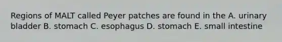 Regions of MALT called Peyer patches are found in the A. urinary bladder B. stomach C. esophagus D. stomach E. small intestine