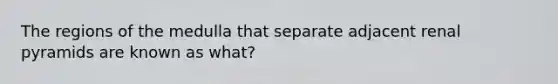 The regions of the medulla that separate adjacent renal pyramids are known as what?