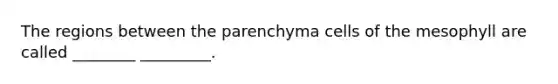 The regions between the parenchyma cells of the mesophyll are called ________ _________.