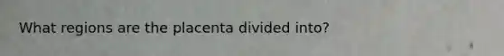 What regions are the placenta divided into?