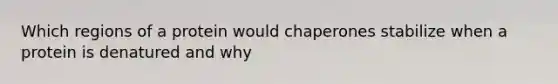 Which regions of a protein would chaperones stabilize when a protein is denatured and why