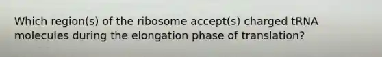 Which region(s) of the ribosome accept(s) charged tRNA molecules during the elongation phase of translation?