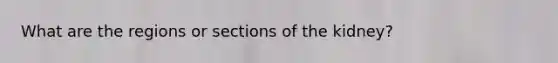 What are the regions or sections of the kidney?